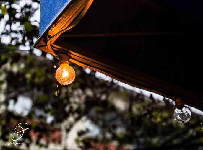 NX1 with 16-50mm S Lens at ISO 800